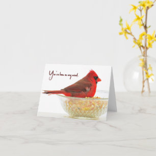Kardinal - Du warst mir im Kopf - leere Karte