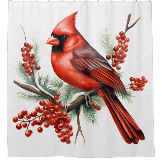 Kardinal Duschvorhang (Vorderseite)