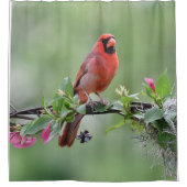 Kardinal-Duschvorhang Duschvorhang (Vorderseite)