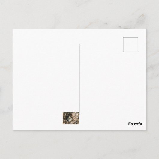 Kardinal Eier Postkarte (Rückseite)