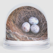 Kardinal Eier Schneeglobe Schneekugeln (Vorderseite)
