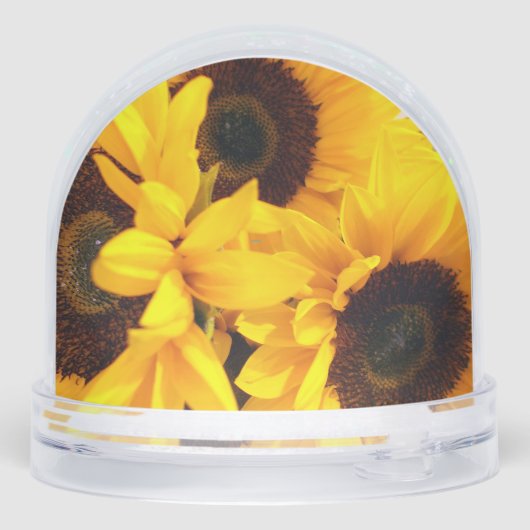 Kardinal Eier Schneeglobe Schneekugeln (Rückseite)