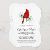 Kardinal - Einladung zum Leben (Vorne/Hinten)