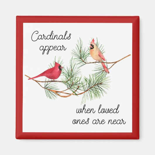 Kardinal erscheinen, wenn die Angehörigen in der N Magnet (Vorne)