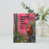 Kardinal erscheinen, wenn Engel in der Nähe sind Postkarte (Stehend Vorderseite)