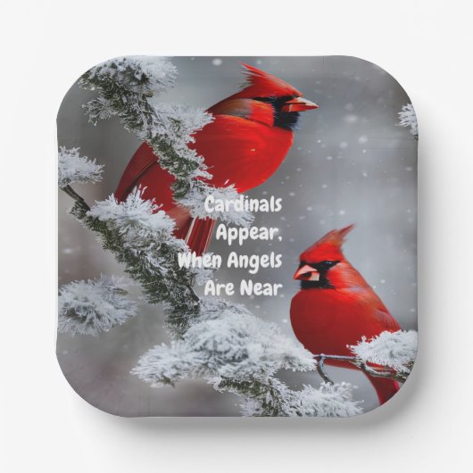 Kardinal erscheint Engel in der Nähe des Gedenkens Pappteller (Vorderseite)
