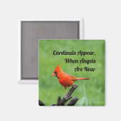 Kardinal erscheint in der Nähe von Magnet-Dekorati Magnet (Vorderseite/Rückseite)