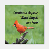 Kardinal erscheint in der Nähe von Magnet-Dekorati Magnet (Vorne)