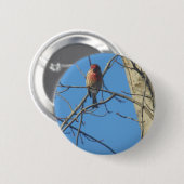 Kardinal Female/Bird Button (Vorne & Hinten)