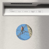 Kardinal Female/Bird Magnet (In Situ (Geschirrspüler))
