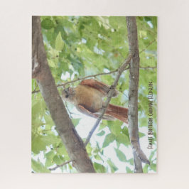 Kardinal Fledgling, Vogelliebhaber Puzzle