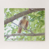 Kardinal Fledgling, Vogelliebhaber Puzzle (Horizontal)