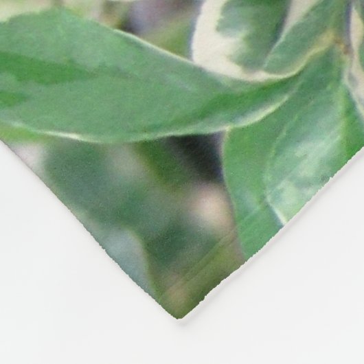 Kardinal Fleece Blanket (Ecke)