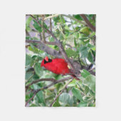 Kardinal Fleece Blanket (Vorderseite)