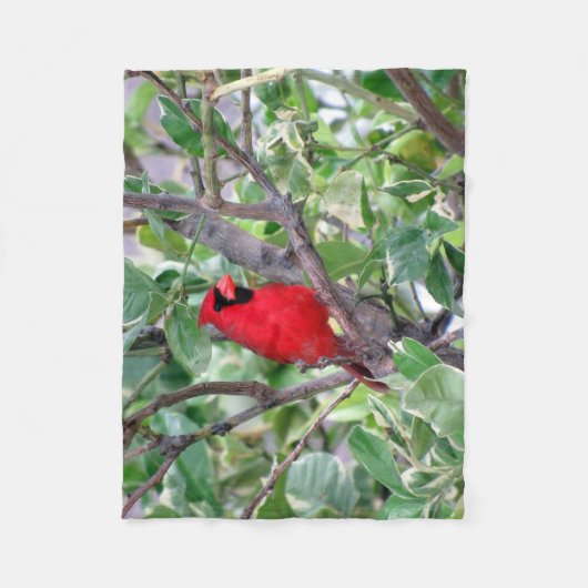 Kardinal Fleece Blanket (Vorderseite)