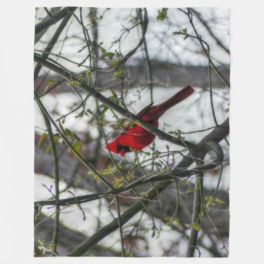 Kardinal Fleecedecke (Vorderseite)
