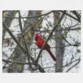 Kardinal Fleecedecke (Vorderseite (Horizontal))