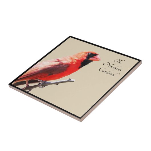 Kardinal Fliese (Seite)