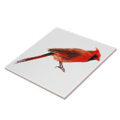 Kardinal Fliese (Seite)