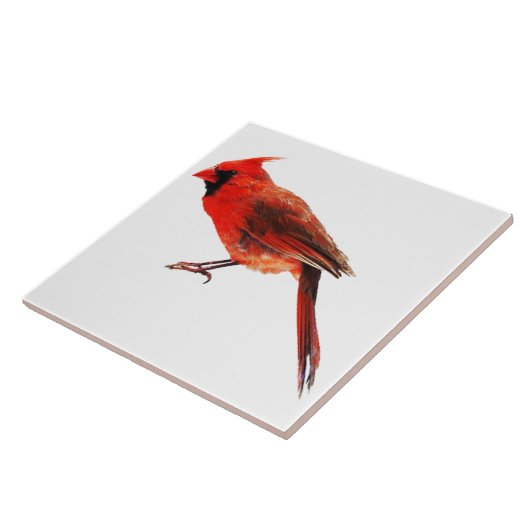 Kardinal Fliese (Seite)