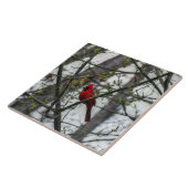 Kardinal Fliese (Seite)