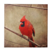 Kardinal Fliese (Vorderseite)