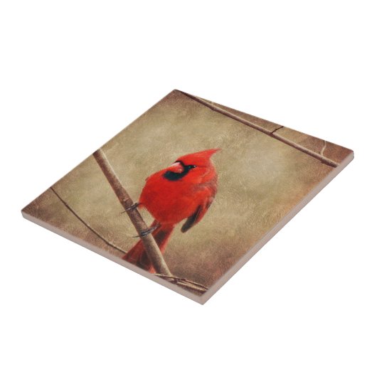 Kardinal Fliese (Seite)