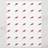 Kardinal Flyer (Vorne)