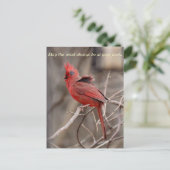 Kardinal-Förderung Postkarte (Stehend Vorderseite)