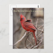 Kardinal-Förderung Postkarte (Vorne/Hinten)