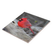 Kardinal Forest Fliese (Seite)