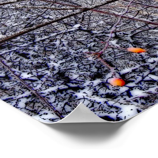 Kardinal Forest Poster (Ecke)