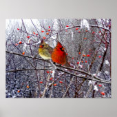 Kardinal Forest Poster (Vorne)