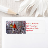 Kardinal Forest-Rücksendeadresse (Insitu)