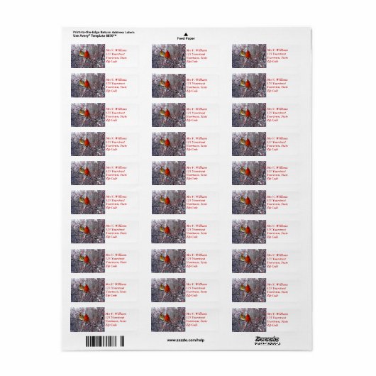 Kardinal Forest-Rücksendeadresse (Vorne)