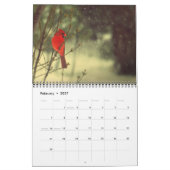 Kardinal Foto 2015 Kalender (Feb 2027)