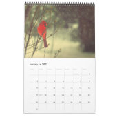 Kardinal Foto Kalender (Jan 2027)