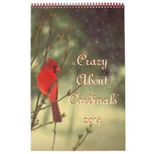 Kardinal Foto Kalender