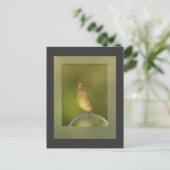 Kardinal Foto Postkarte (Stehend Vorderseite)