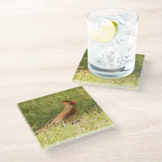 Kardinal Foto Untersetzer (Schrägansicht)