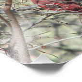 Kardinal Fotodruck (Ecke)