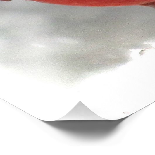 Kardinal Fotodruck (Ecke)