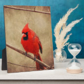 Kardinal Fotoplatte (Seite)