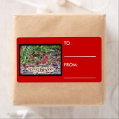 Kardinal Frohe Weihnachtsartikel (Insitu)