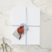Kardinal Geschenkanhänger (Mit Garn)