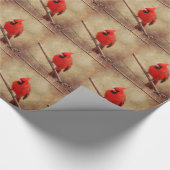 Kardinal Geschenkpapier (Ecke)