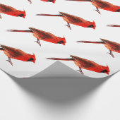 Kardinal Geschenkpapier (Ecke)
