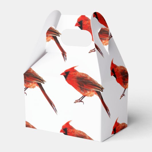 Kardinal Geschenkschachtel (Rückseite)