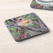 Kardinal Getränkeuntersetzer (Linke Seite)