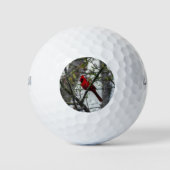 Kardinal Golfball (Vorderseite)